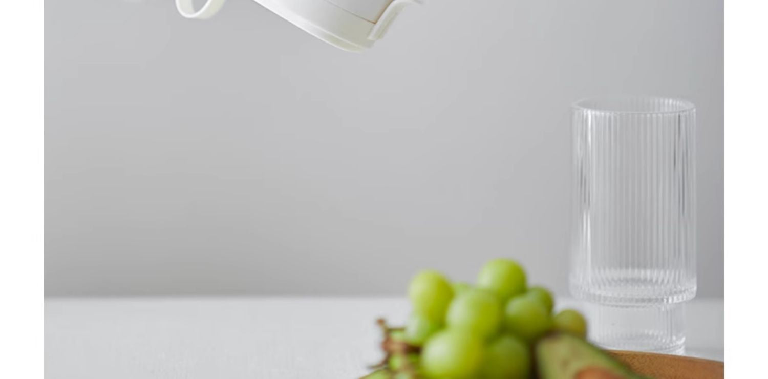 Multi-function Electric Fruit Juicer